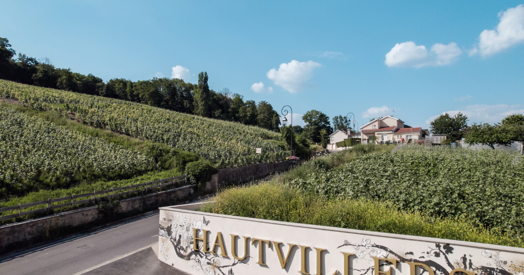 Arrivée à Hautvillers